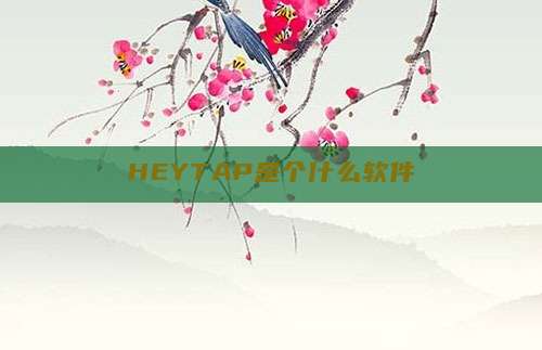 HEYTAP是个什么软件